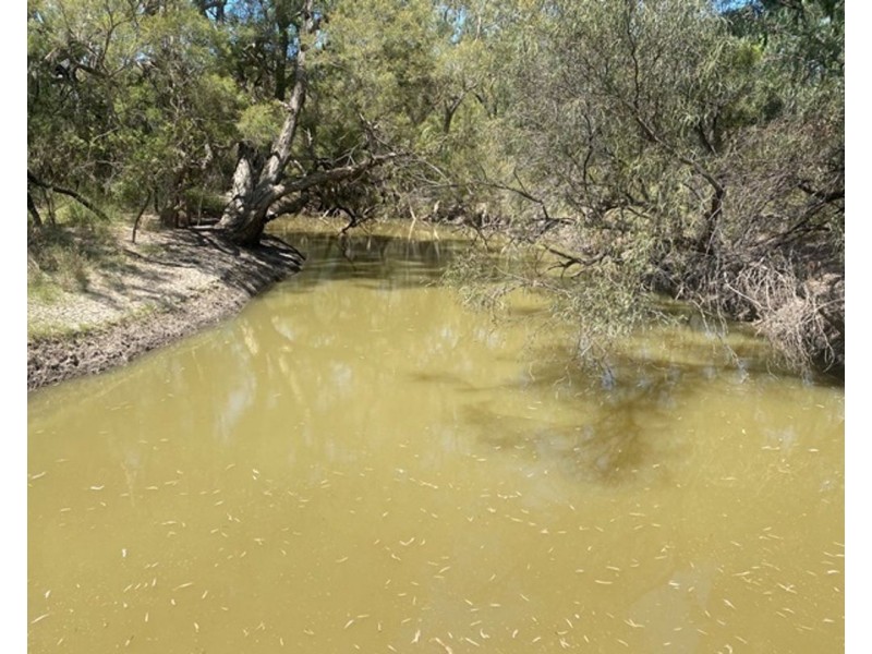 Boronga, Boomi NSW 2405