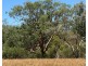Boronga, Boomi NSW 2405
