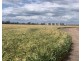 “NUNKERI” & “LOCH LOMOND”, Walgett NSW 2832