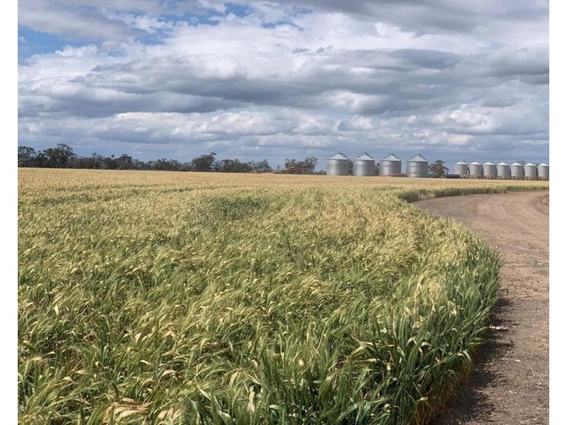 “NUNKERI” & “LOCH LOMOND”, Walgett NSW 2832