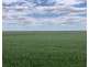 “NUNKERI” & “LOCH LOMOND”, Walgett NSW 2832