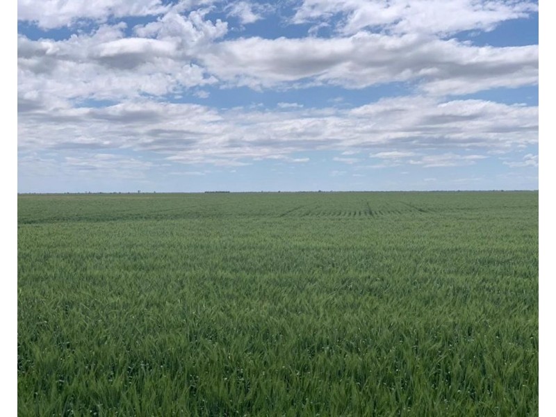 “NUNKERI” & “LOCH LOMOND”, Walgett NSW 2832