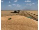 “NUNKERI” & “LOCH LOMOND”, Walgett NSW 2832