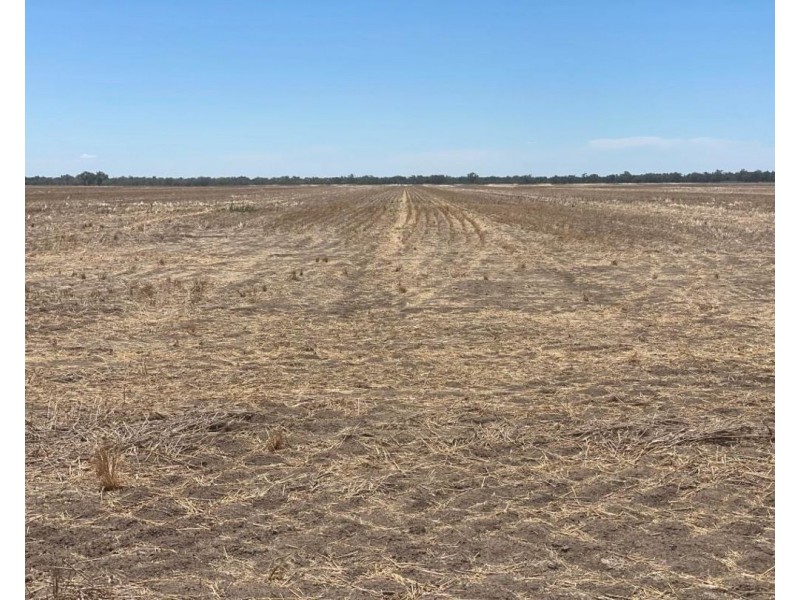 “NUNKERI” & “LOCH LOMOND”, Walgett NSW 2832