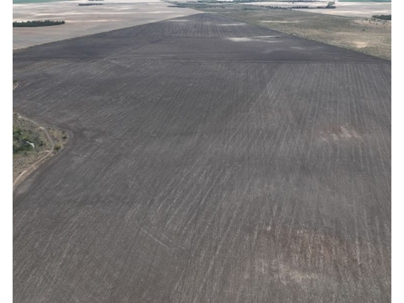 600 Acre Block, Moree NSW 2400