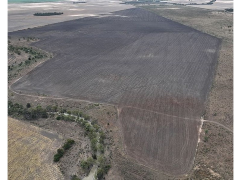 600 Acre Block, Moree NSW 2400