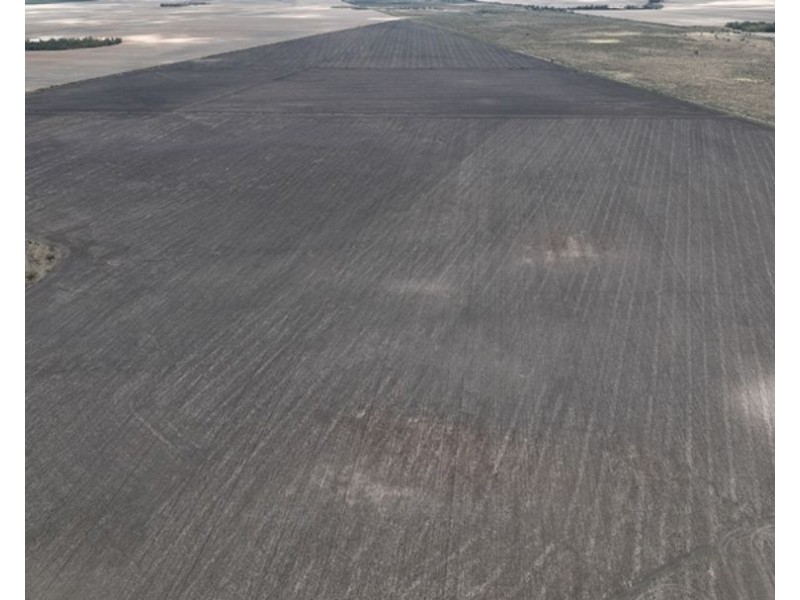 600 Acre Block, Moree NSW 2400