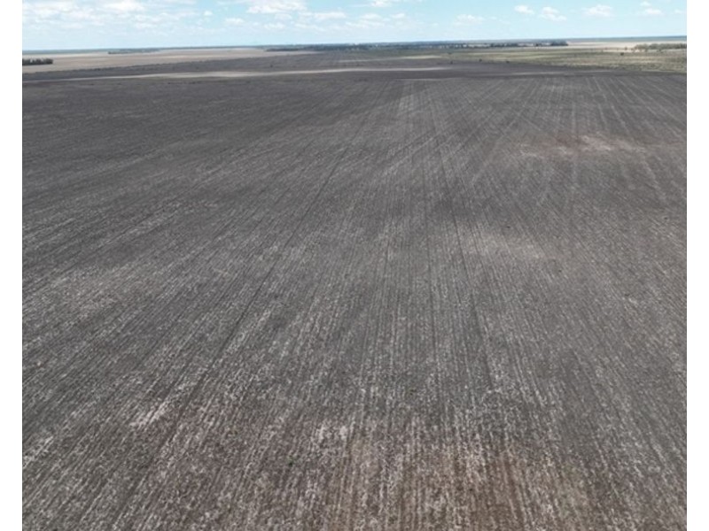 600 Acre Block, Moree NSW 2400