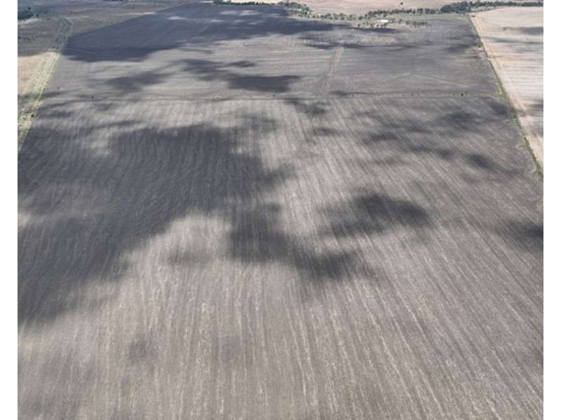 600 Acre Block, Moree NSW 2400