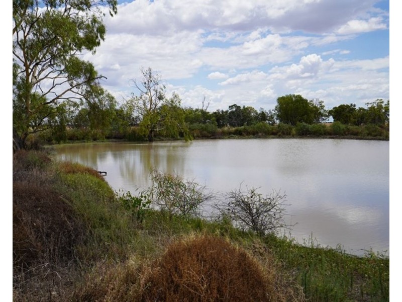 600 Acre Block, Moree NSW 2400