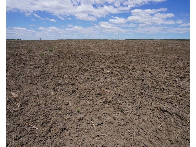 600 Acre Block, Moree NSW 2400