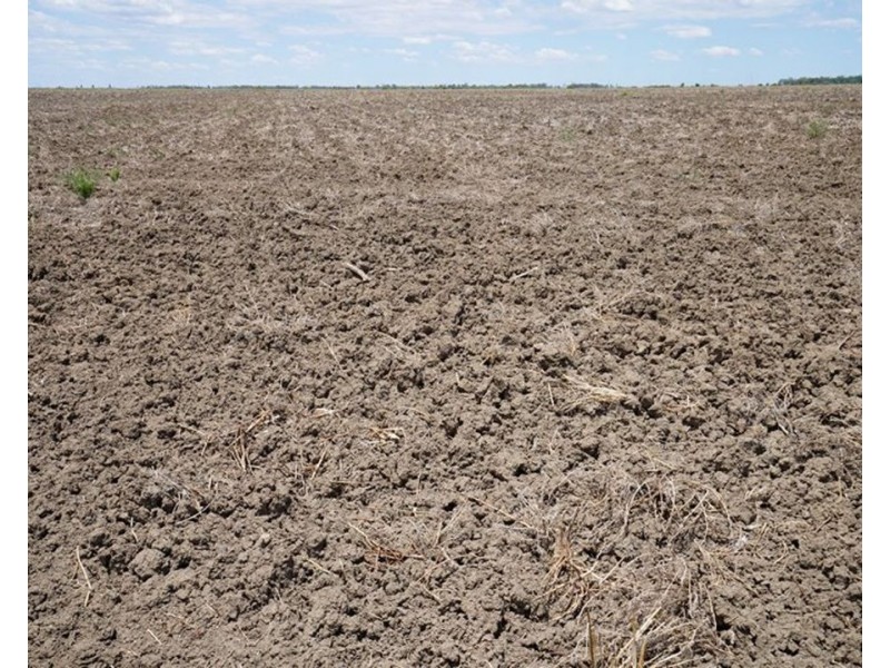 600 Acre Block, Moree NSW 2400