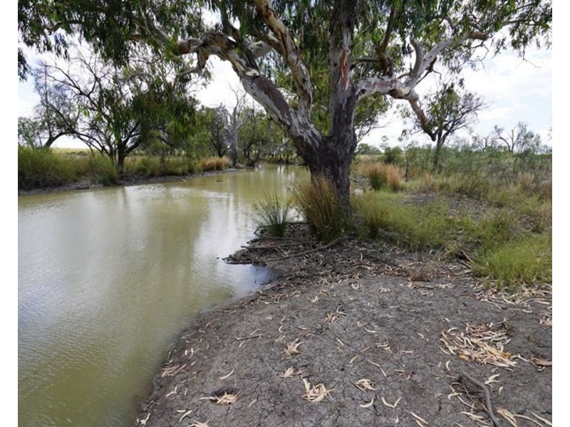 600 Acre Block, Moree NSW 2400