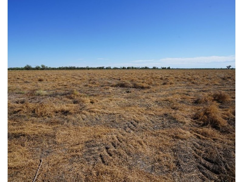 233 Wimbledon Road, Walgett NSW 2832