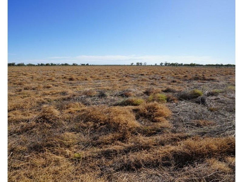 233 Wimbledon Road, Walgett NSW 2832