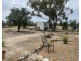 Newtown Fields, Lightning Ridge NSW 2834