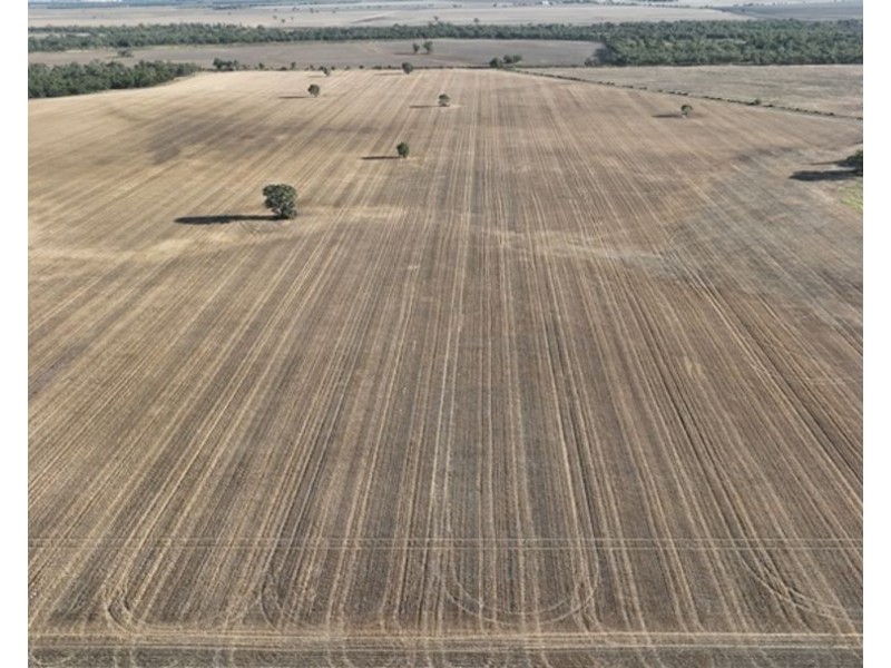 Dowra, Moree NSW 2400