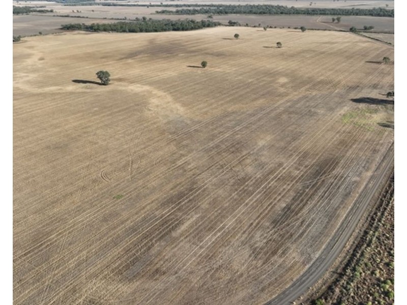 Dowra, Moree NSW 2400