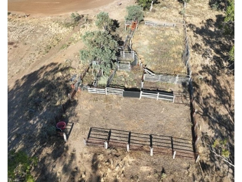 Dowra, Moree NSW 2400