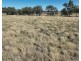 Dowra, Moree NSW 2400