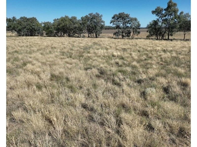 Dowra, Moree NSW 2400