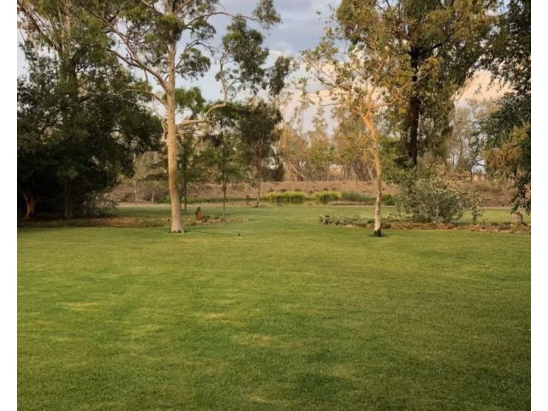 Dowra, Moree NSW 2400