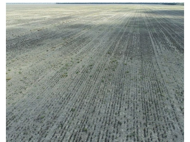 Collarenebri NSW 2833