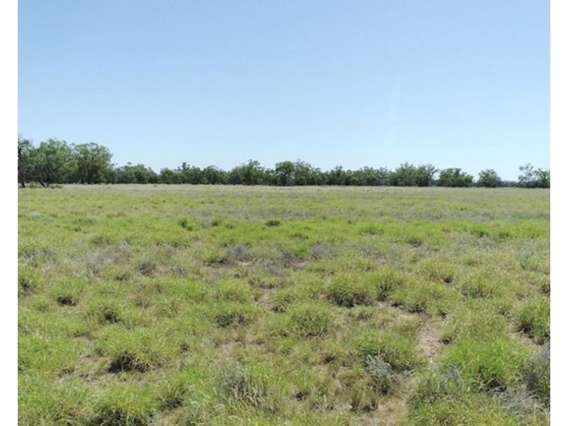 Collarenebri NSW 2833