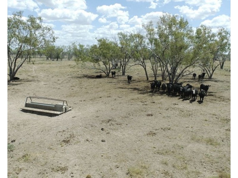 Collarenebri NSW 2833