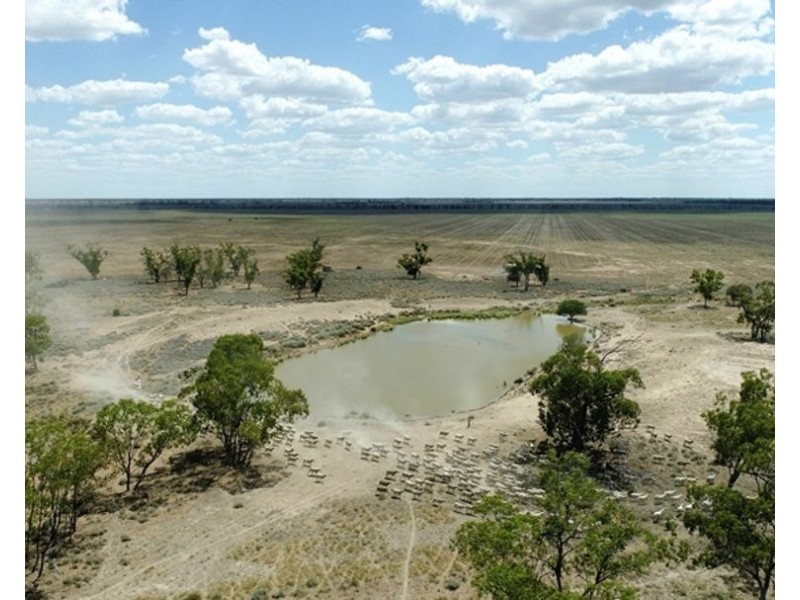 Collarenebri NSW 2833