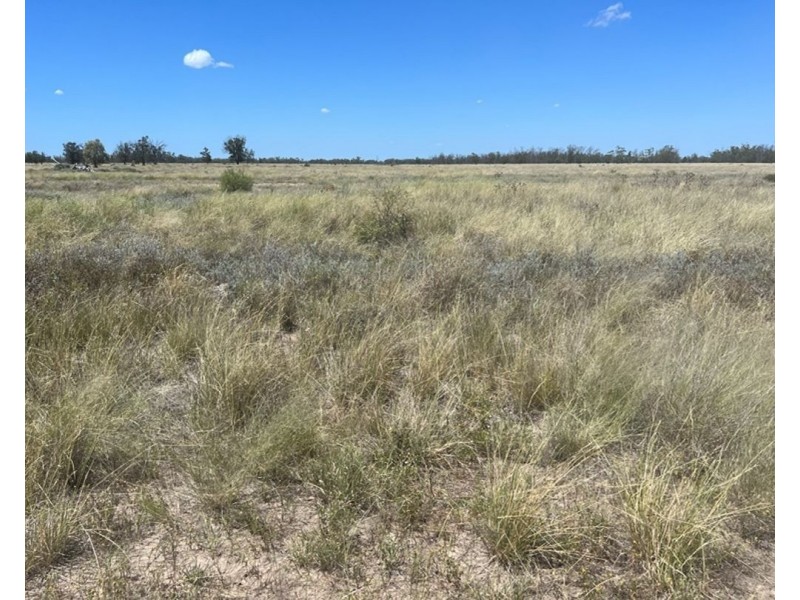 Collarenebri NSW 2833