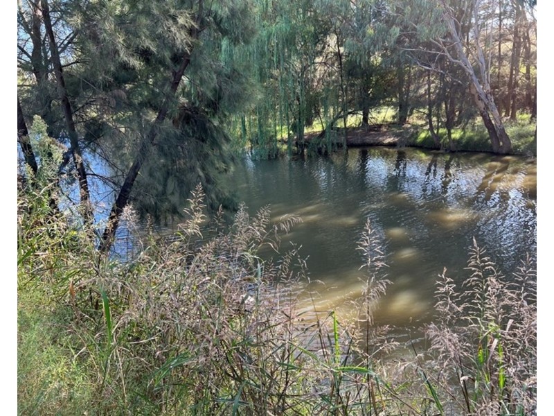 Collarenebri NSW 2833