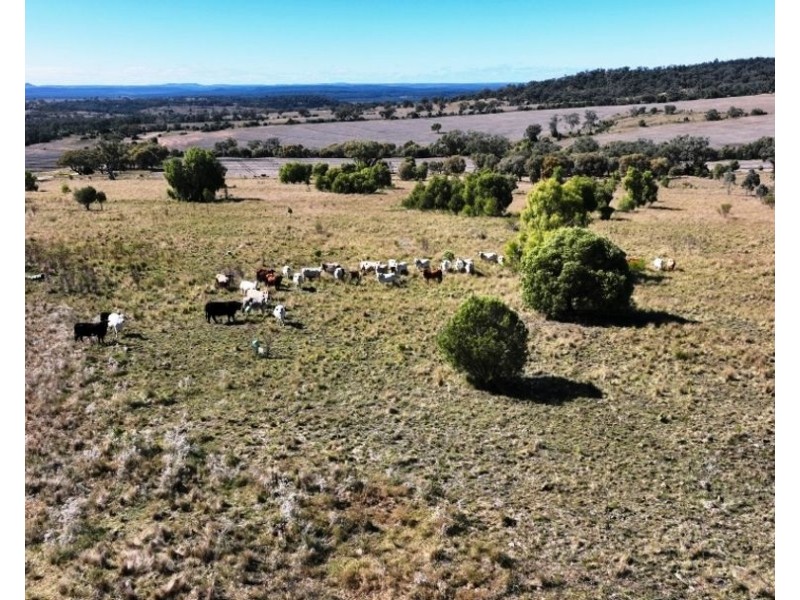 Innesvale, Warialda NSW 2402