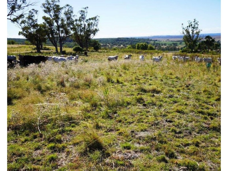 Innesvale, Warialda NSW 2402