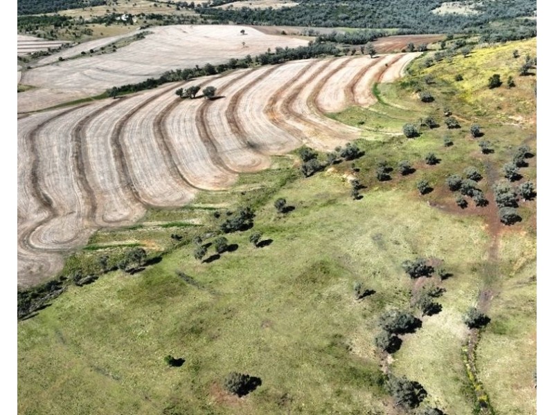 Innesvale, Warialda NSW 2402