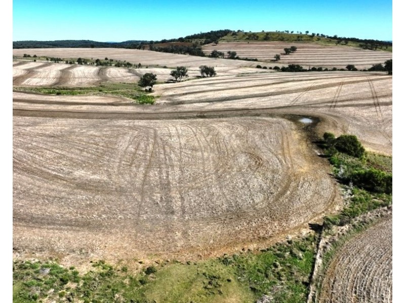 Innesvale, Warialda NSW 2402