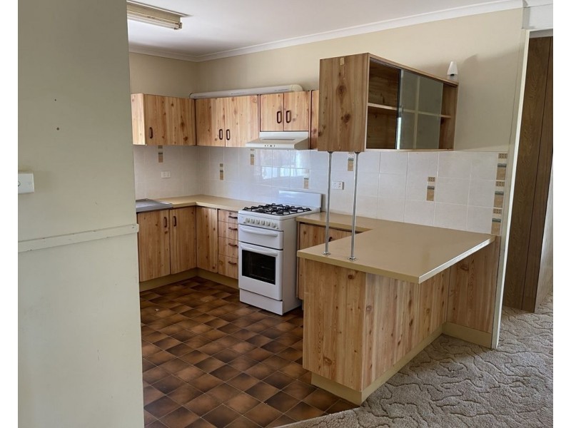 40 Pandora Street, Lightning Ridge NSW 2834