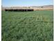 Kiaora, Gravesend NSW 2401