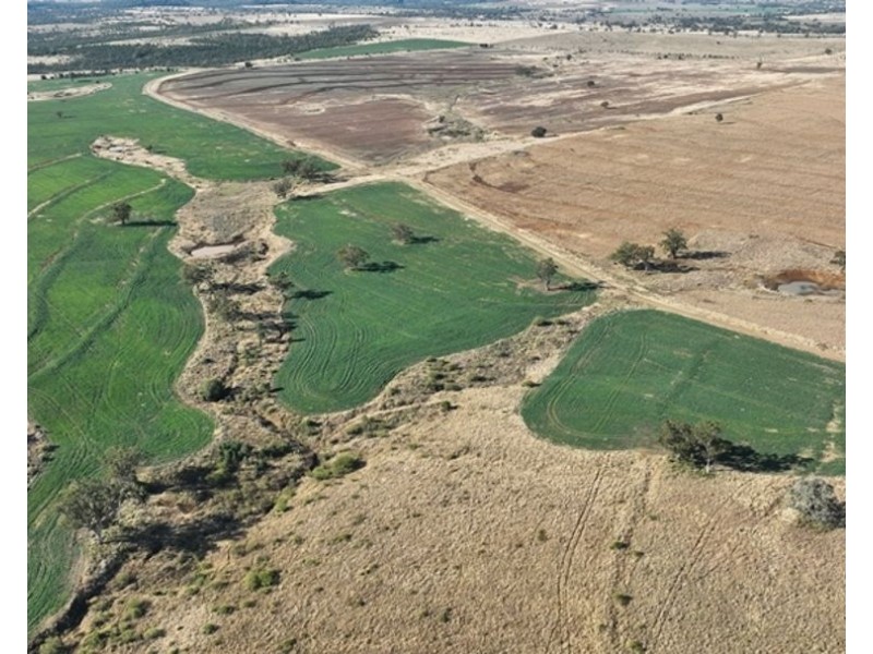 Kiaora, Gravesend NSW 2401