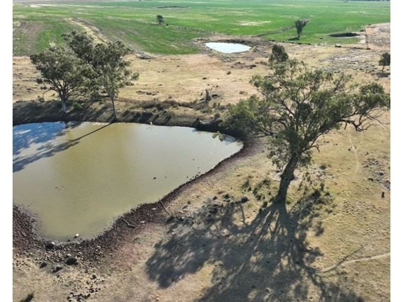 Kiaora, Gravesend NSW 2401