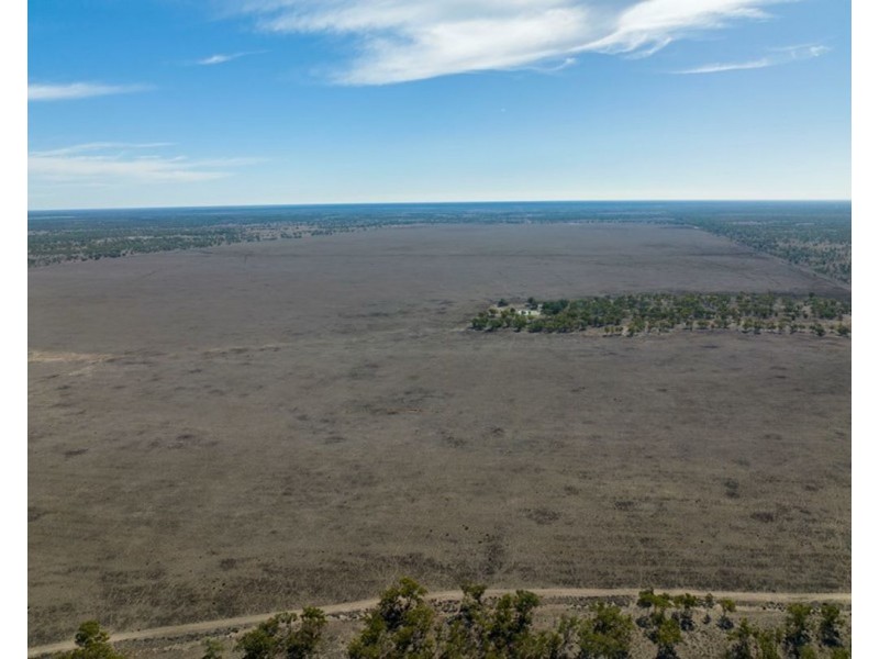 Dungalear South, Walgett NSW 2832