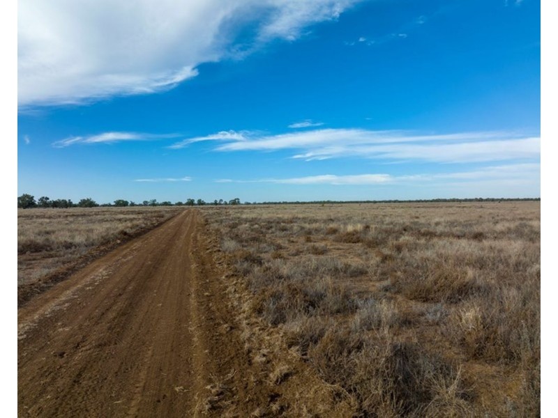 Dungalear South, Walgett NSW 2832