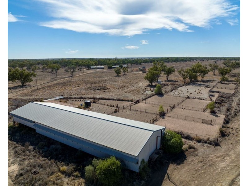 Dungalear South, Walgett NSW 2832