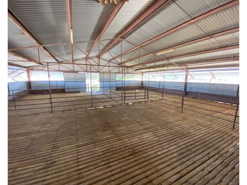 Dungalear South, Walgett NSW 2832