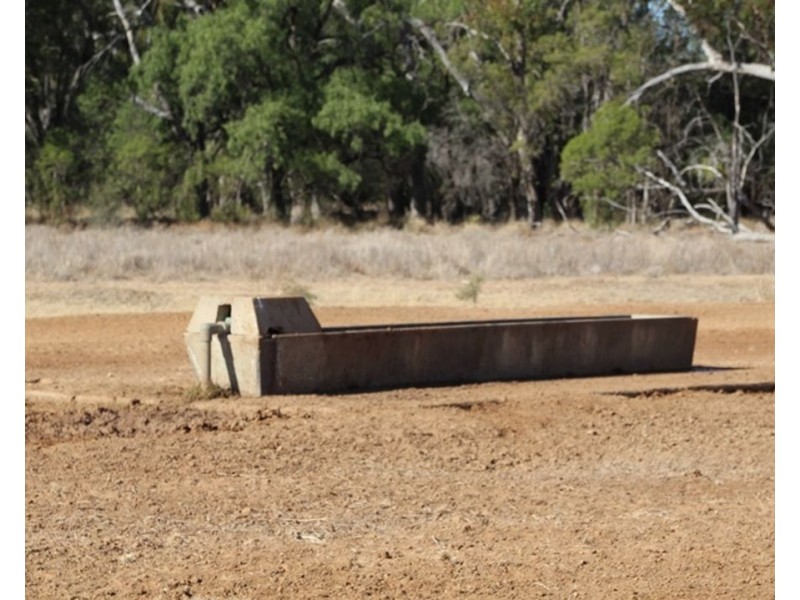 Dungalear South, Walgett NSW 2832