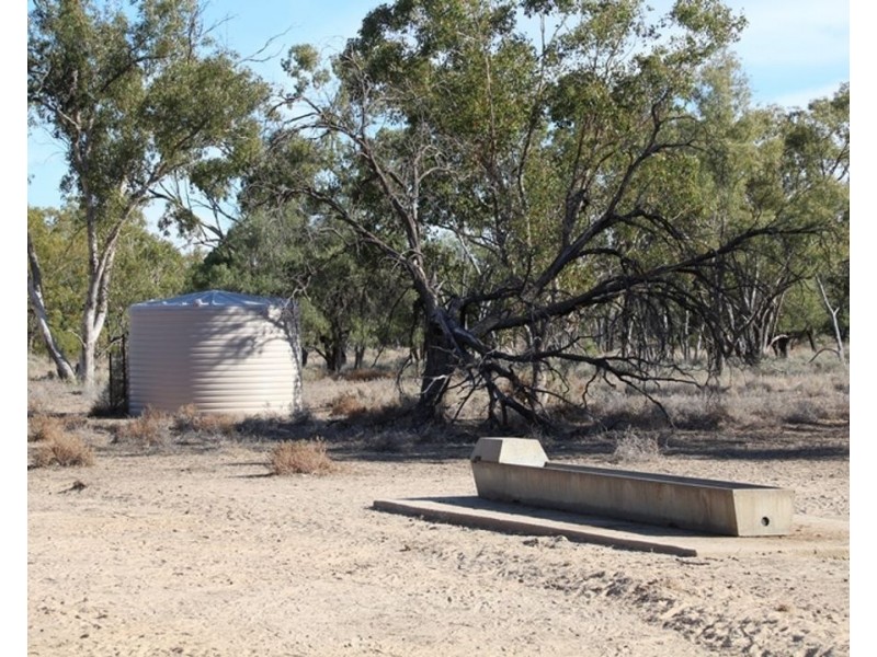 Dungalear South, Walgett NSW 2832