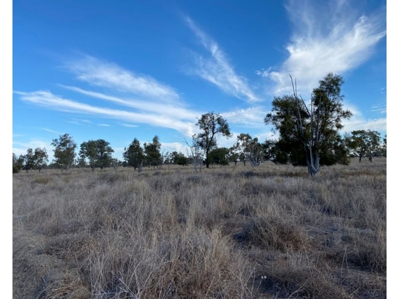 Dungalear South, Walgett NSW 2832