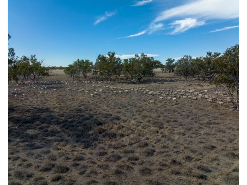 Dungalear South, Walgett NSW 2832