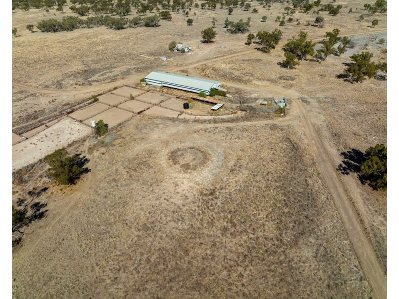 Dungalear South, Walgett NSW 2832