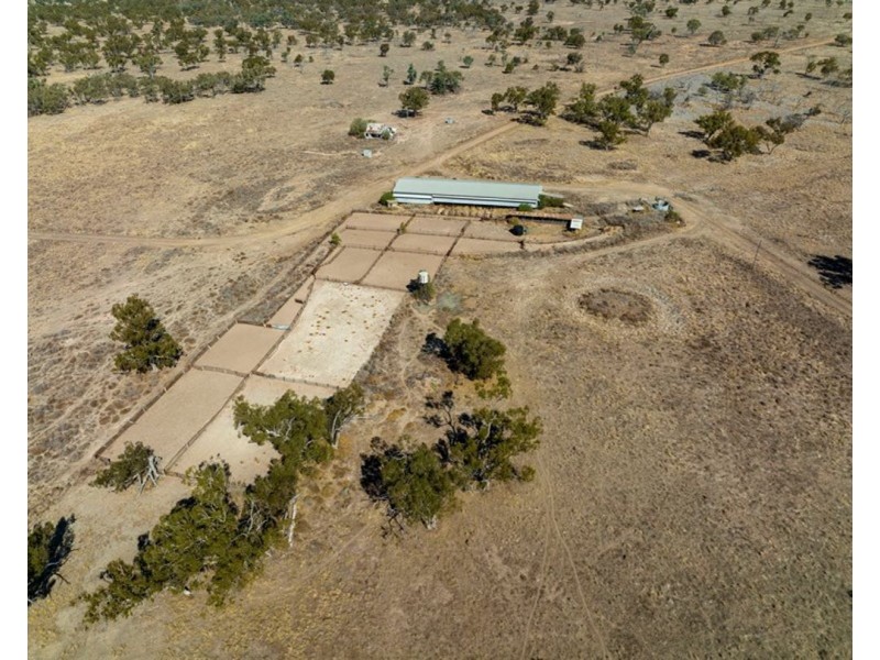 Dungalear South, Walgett NSW 2832
